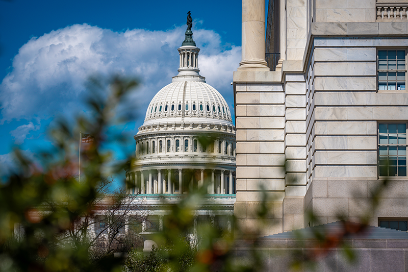 U.S. Capitol Building